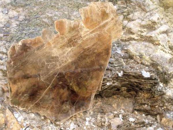 云母含鐵愈高時(shí)，顏色愈深，同時(shí)多色性和吸收性增強(qiáng)